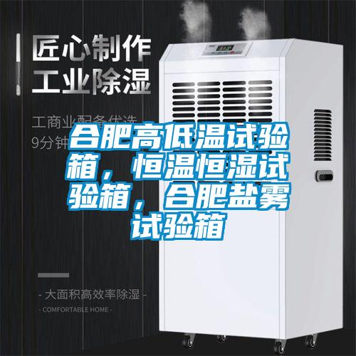 合肥高低溫試驗箱，恒溫恒濕試驗箱，合肥鹽霧試驗箱