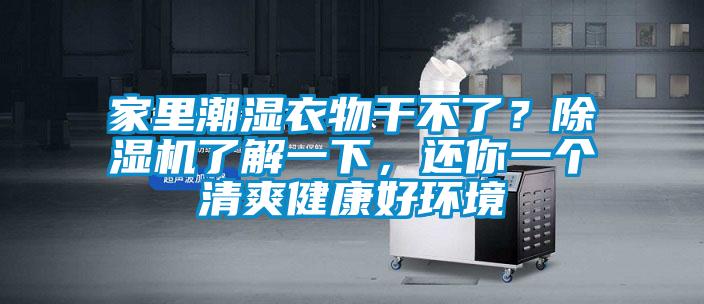 家里潮濕衣物干不了？除濕機了解一下，還你一個清爽健康好環境