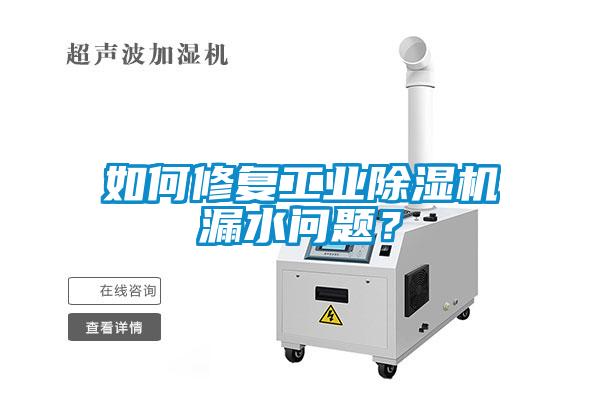 如何修復工業除濕機漏水問題？