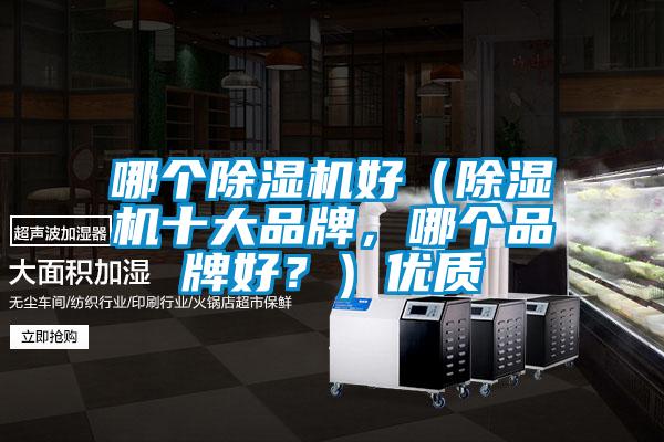 哪個除濕機好(除濕機十大品牌,哪個品牌好?)優(yōu)質(zhì)