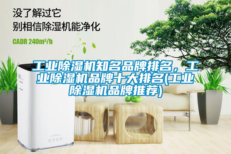 工業除濕機知名品牌排名，工業除濕機品牌十大排名(工業除濕機品牌推薦)