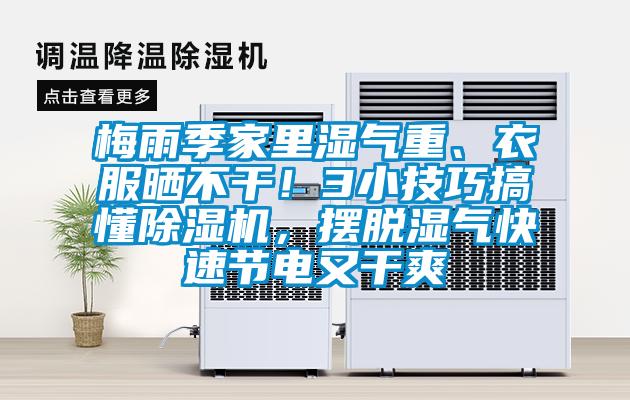 梅雨季家里濕氣重、衣服曬不干！3小技巧搞懂除濕機(jī)，擺脫濕氣快速節(jié)電又干爽