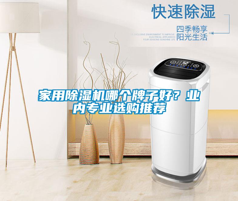 家用除濕機哪個牌子好？業內專業選購推薦