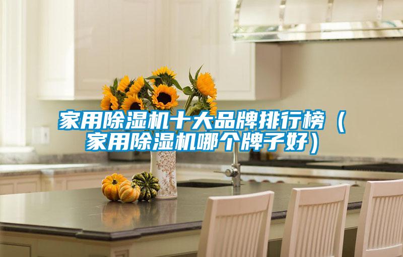 家用除濕機十大品牌排行榜(家用除濕機哪個牌子好)