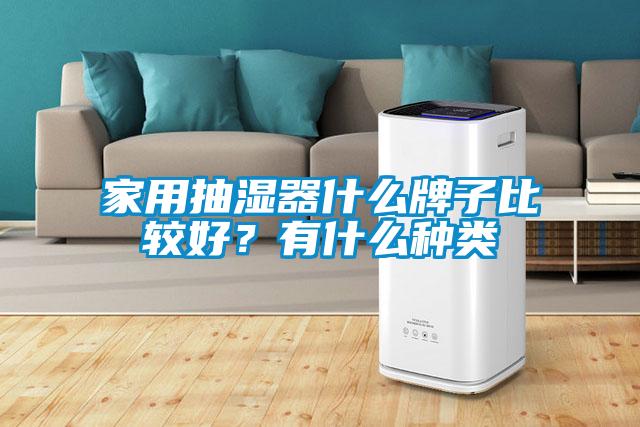 家用抽濕器什么牌子比較好？有什么種類