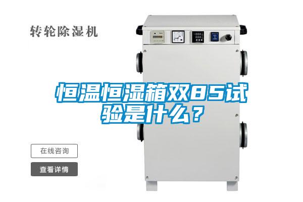 恒溫恒濕箱雙85試驗是什么？
