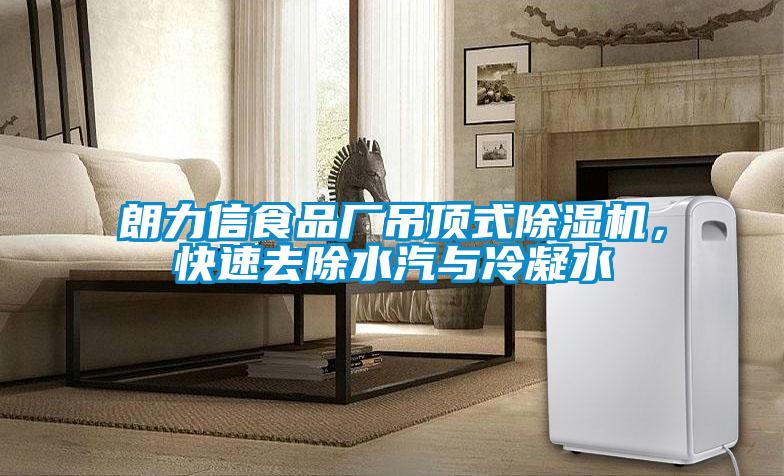 朗力信食品廠吊頂式除濕機，快速去除水汽與冷凝水