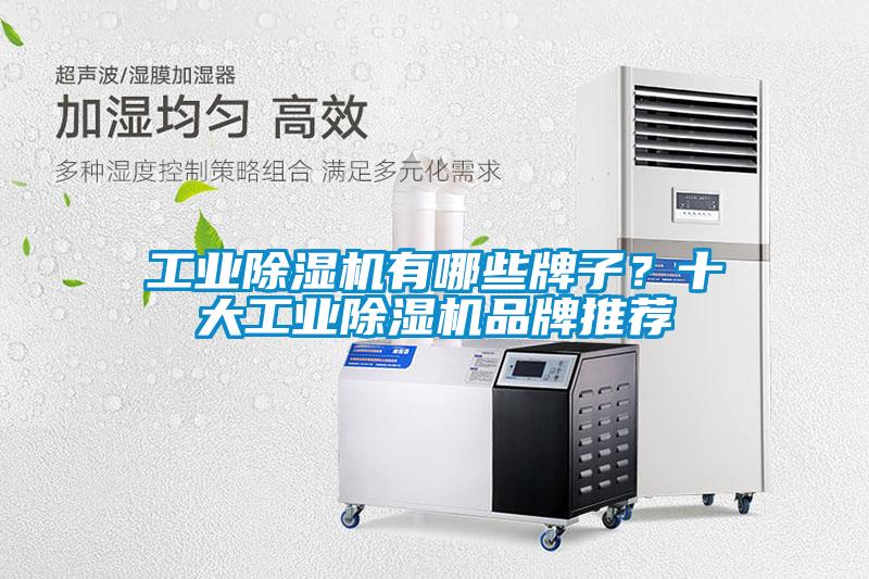 工業(yè)除濕機(jī)有哪些牌子？十大工業(yè)除濕機(jī)品牌推薦