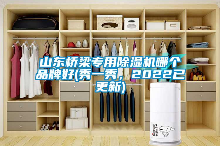 山東橋梁專用除濕機哪個品牌好(秀一秀，2022已更新)