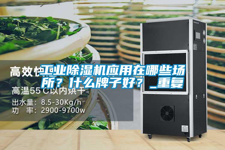 工業除濕機應用在哪些場所？什么牌子好？_重復