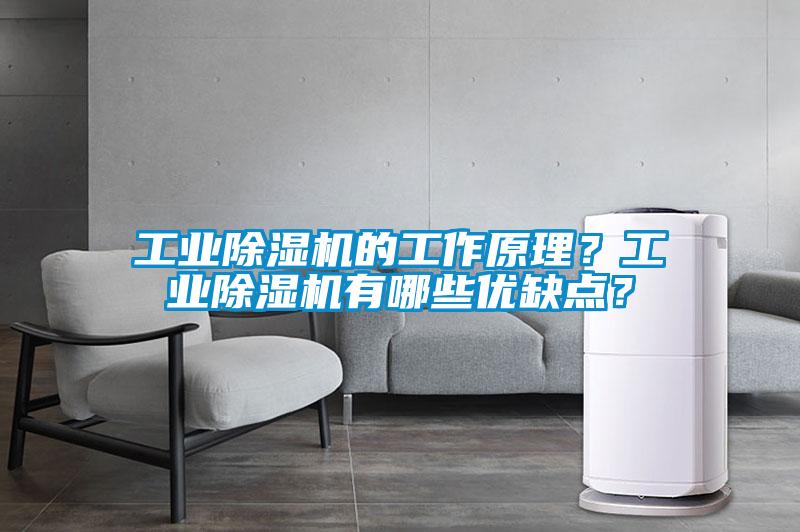 工業(yè)除濕機(jī)的工作原理？工業(yè)除濕機(jī)有哪些優(yōu)缺點(diǎn)？