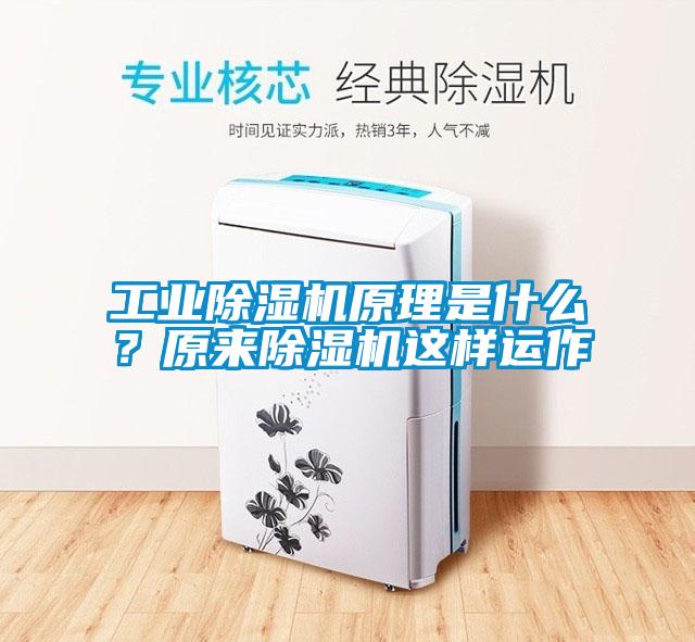 工業除濕機原理是什么？原來除濕機這樣運作