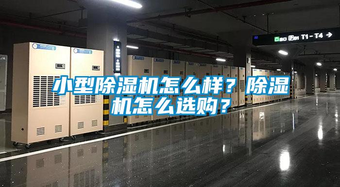 小型除濕機怎么樣？除濕機怎么選購？
