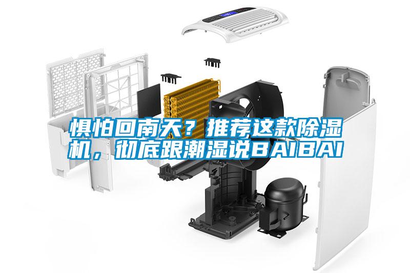 懼怕回南天？推薦這款除濕機，徹底跟潮濕說BAIBAI