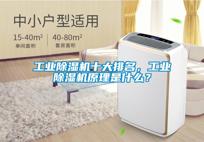 工業除濕機十大排名，工業除濕機原理是什么？