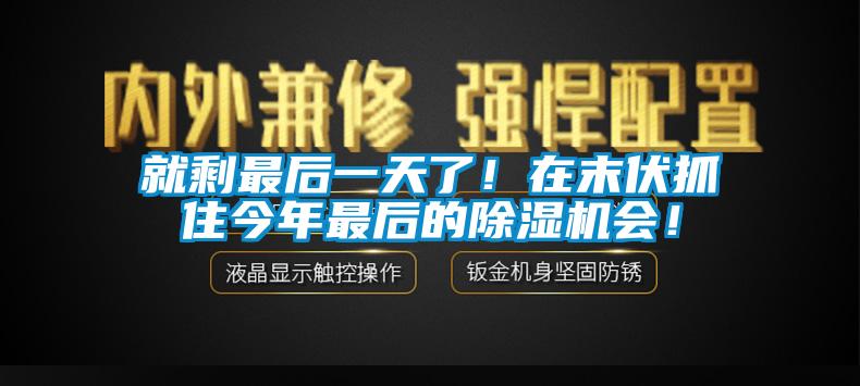 就剩最后一天了！在末伏抓住今年最后的除濕機會！
