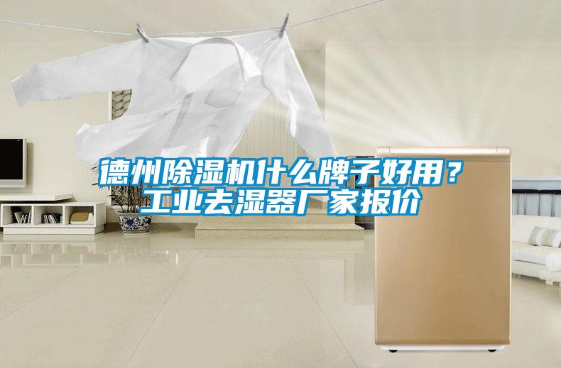 德州除濕機(jī)什么牌子好用？工業(yè)去濕器廠家報(bào)價(jià)