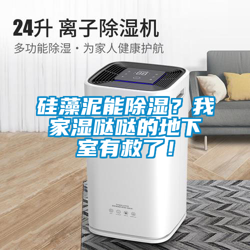 硅藻泥能除濕？我家濕噠噠的地下室有救了！