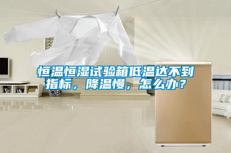 恒溫恒濕試驗箱低溫達(dá)不到指標(biāo)，降溫慢，怎么辦？
