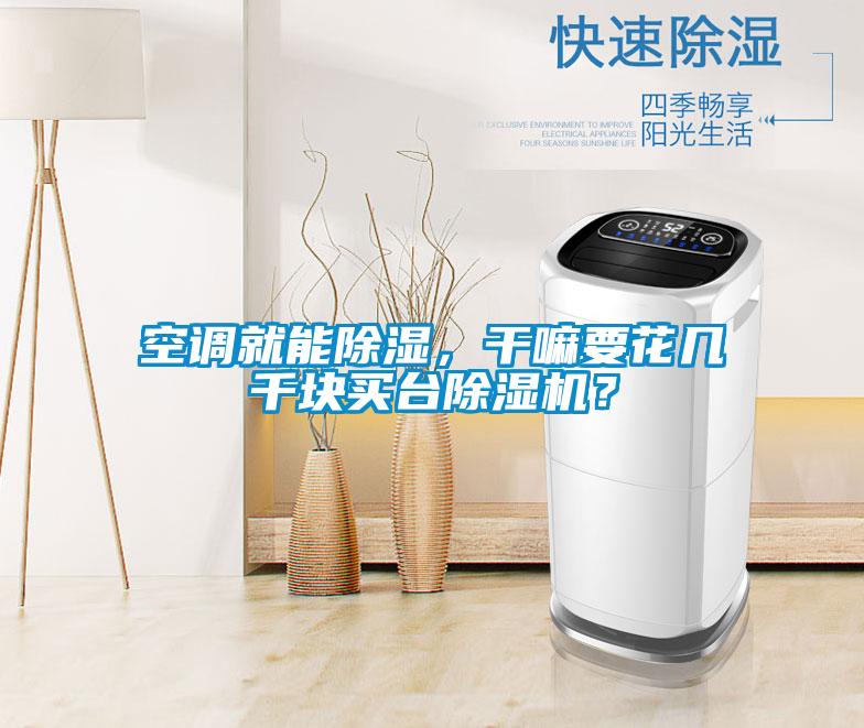 空調(diào)就能除濕，干嘛要花幾千塊買臺(tái)除濕機(jī)？