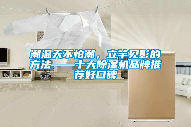 潮濕天不怕潮，立竿見(jiàn)影的方法——十大除濕機(jī)品牌推薦好口碑