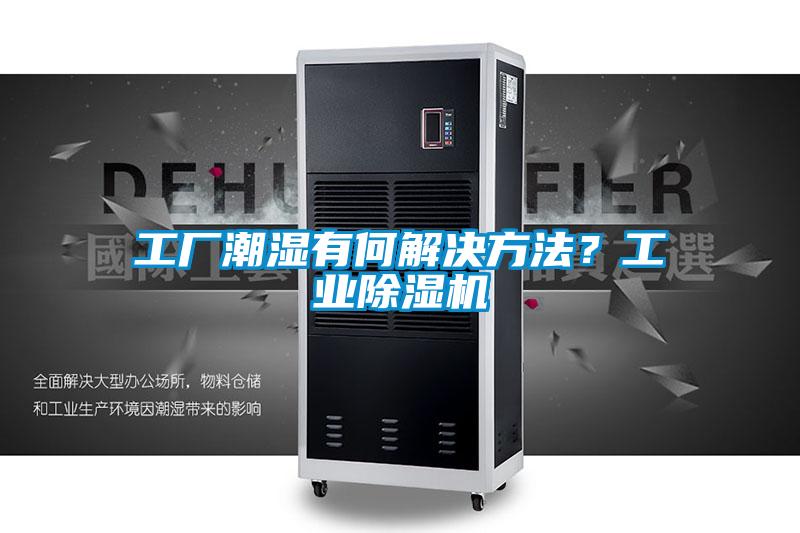 工廠潮濕有何解決方法？工業除濕機