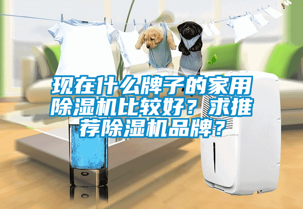 現(xiàn)在什么牌子的家用除濕機比較好？求推薦除濕機品牌？