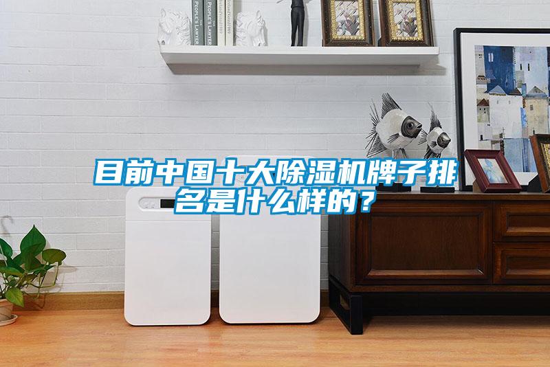 目前中國(guó)十大除濕機(jī)牌子排名是什么樣的？