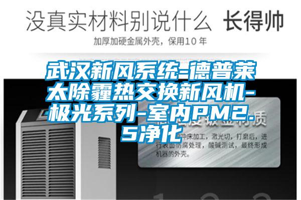 武漢新風系統-德普萊太除霾熱交換新風機-極光系列-室內PM2.5凈化