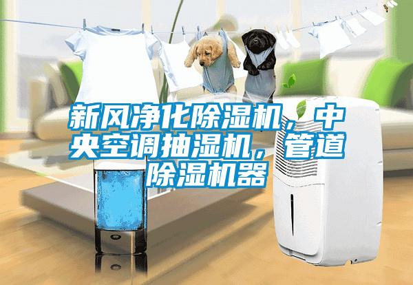 新風(fēng)凈化除濕機(jī)，中央空調(diào)抽濕機(jī)，管道除濕機(jī)器