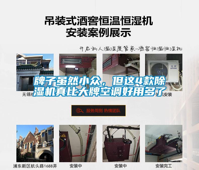 牌子雖然小眾，但這4款除濕機真比大牌空調好用多了