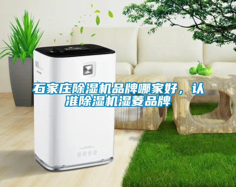 石家莊除濕機品牌哪家好，認準除濕機濕菱品牌