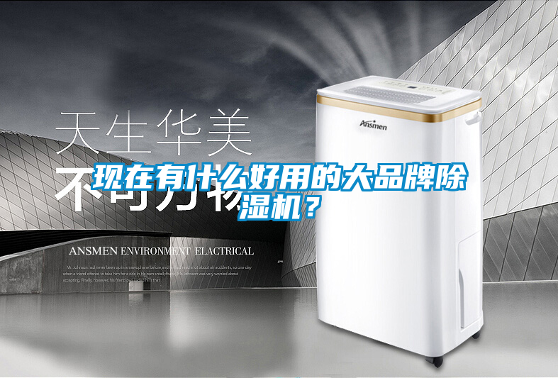 現(xiàn)在有什么好用的大品牌除濕機？