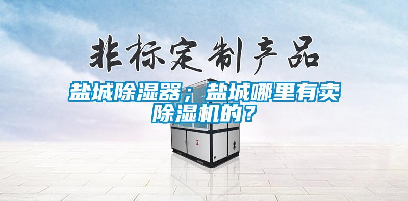 鹽城除濕器；鹽城哪里有賣除濕機的？