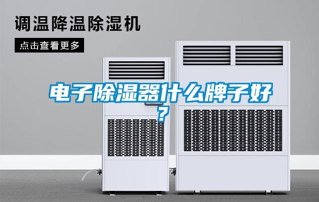 電子除濕器什么牌子好？