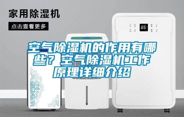空氣除濕機的作用有哪些？空氣除濕機工作原理詳細介紹