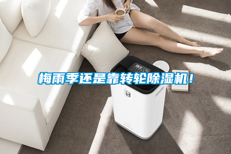 梅雨季還是靠轉輪除濕機！