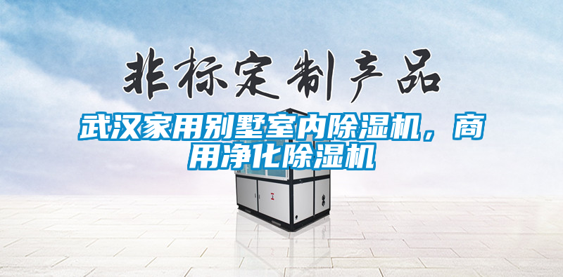 武漢家用別墅室內除濕機，商用凈化除濕機