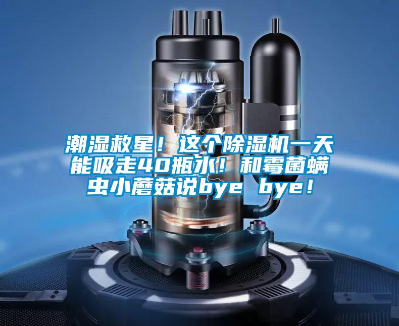 潮濕救星！這個(gè)除濕機(jī)一天能吸走40瓶水！和霉菌螨蟲小蘑菇說bye bye！
