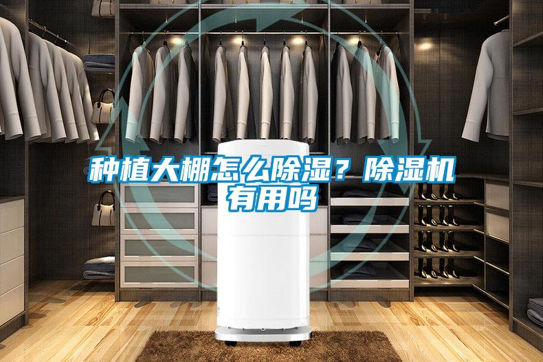 種植大棚怎么除濕？除濕機(jī)有用嗎
