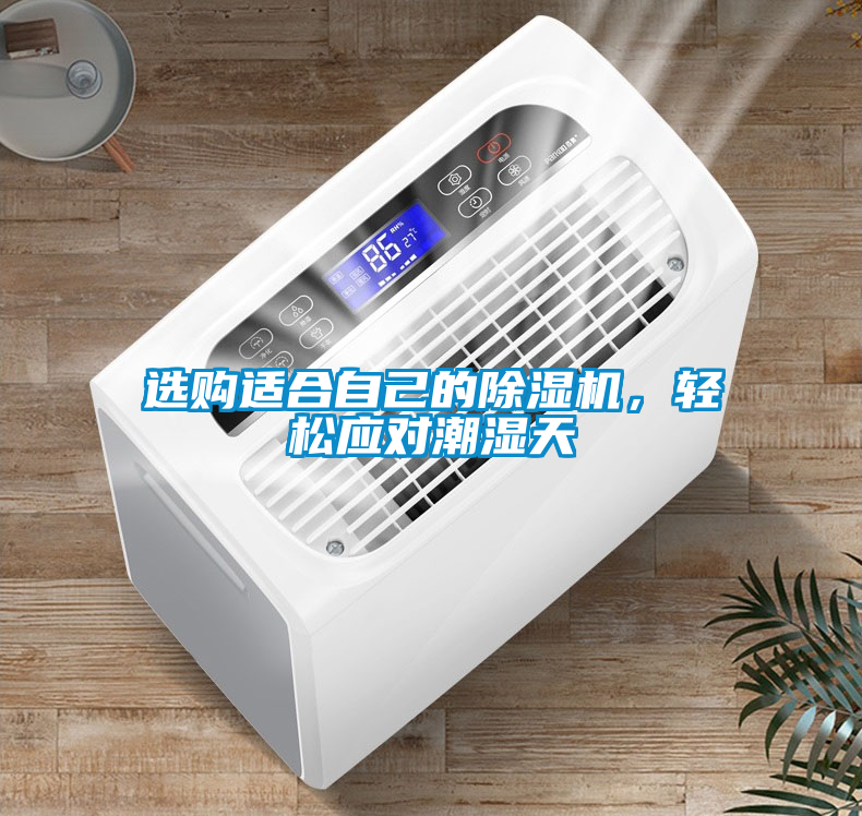 選購適合自己的除濕機，輕松應對潮濕天