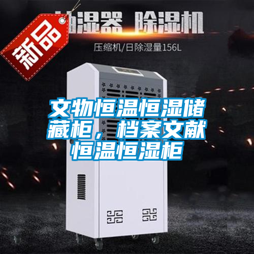 文物恒溫恒濕儲藏柜，檔案文獻恒溫恒濕柜