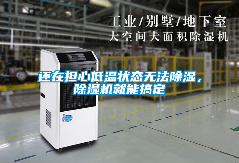 還在擔心低溫狀態無法除濕，除濕機就能搞定
