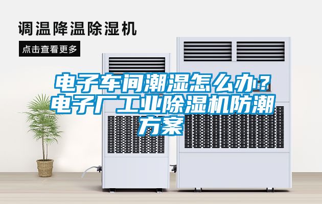 電子車間潮濕怎么辦？電子廠工業除濕機防潮方案