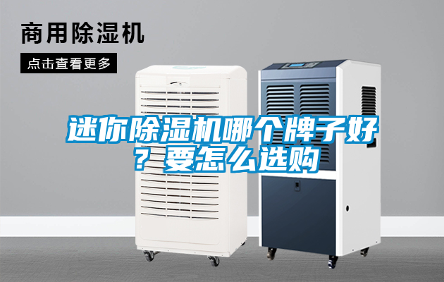 迷你除濕機(jī)哪個牌子好？要怎么選購