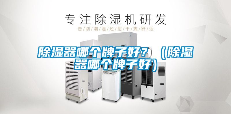 除濕器哪個(gè)牌子好？（除濕器哪個(gè)牌子好）