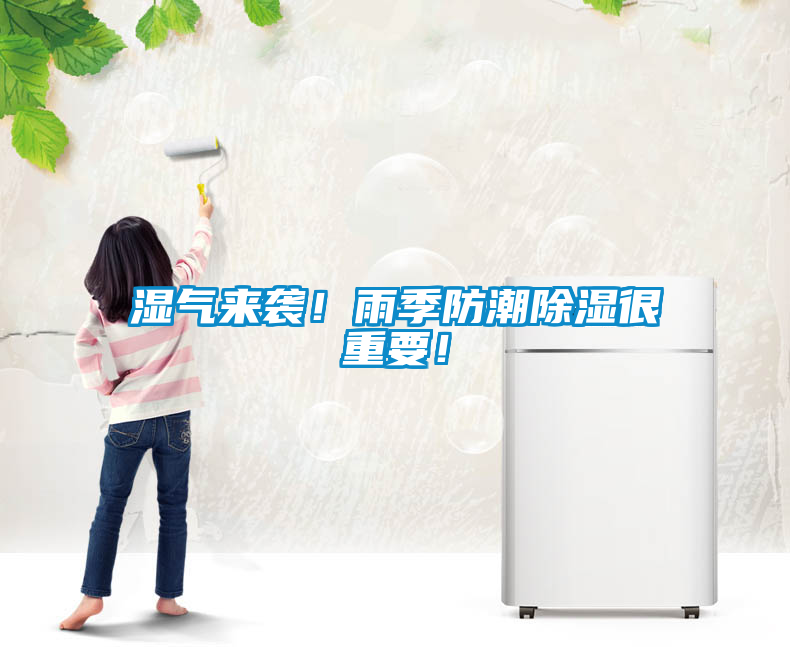 濕氣來襲！雨季防潮除濕很重要！