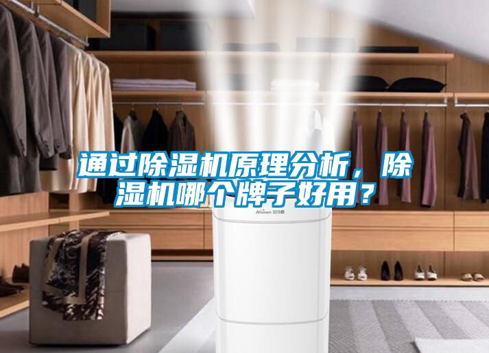 通過除濕機原理分析，除濕機哪個牌子好用？