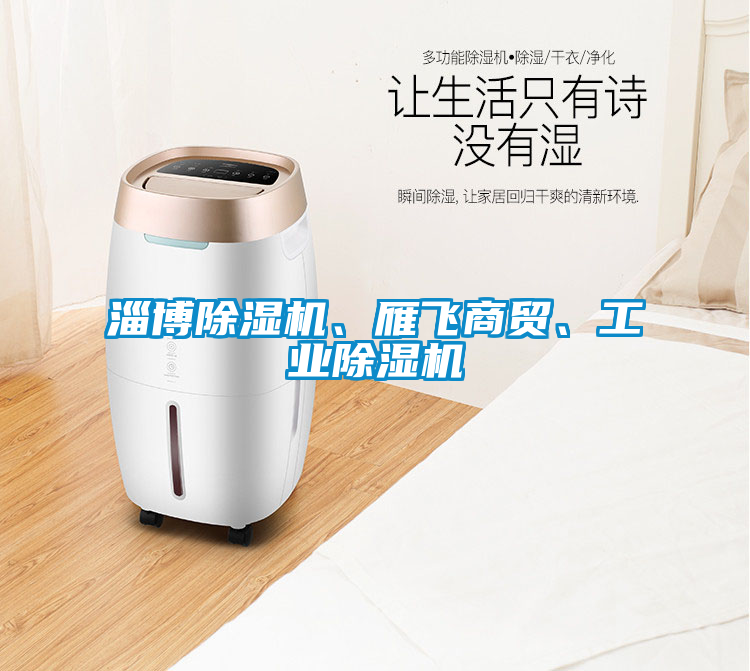 淄博除濕機、雁飛商貿(mào)、工業(yè)除濕機