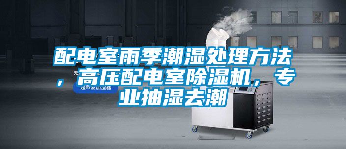 配電室雨季潮濕處理方法，高壓配電室除濕機，專業(yè)抽濕去潮